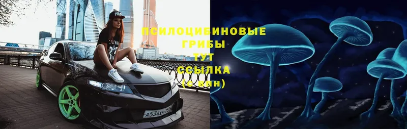 дарнет шоп  нарко площадка телеграм  Псилоцибиновые грибы Psilocybe  Лаишево 